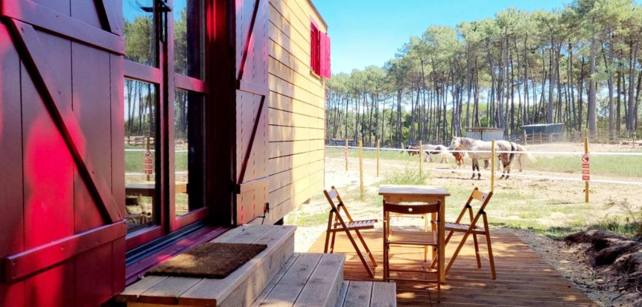 Hotel Roulottes Cocooning Au Coeur Des Landes Mées Exteriér fotografie