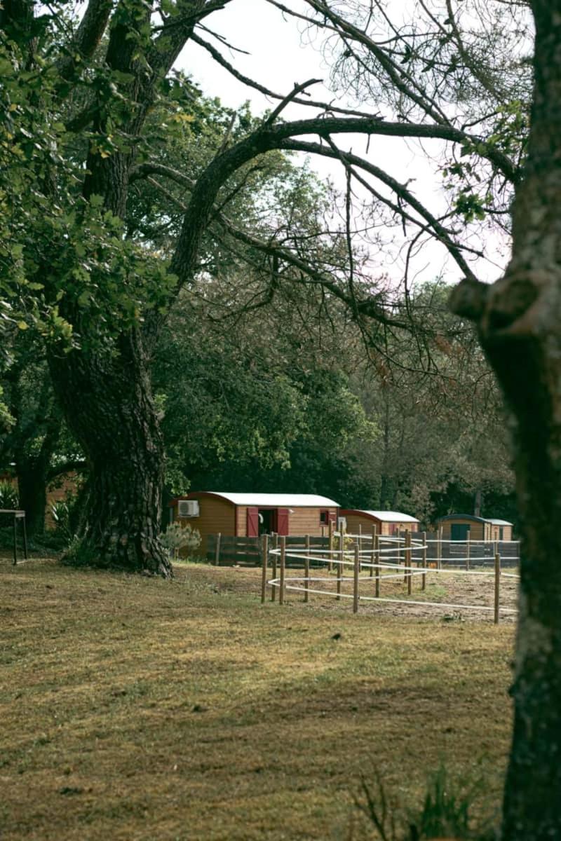 Hotel Roulottes Cocooning Au Coeur Des Landes Mées Exteriér fotografie